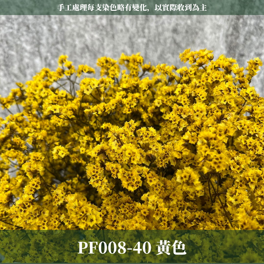 PF008水晶花 原裝 台灣現貨