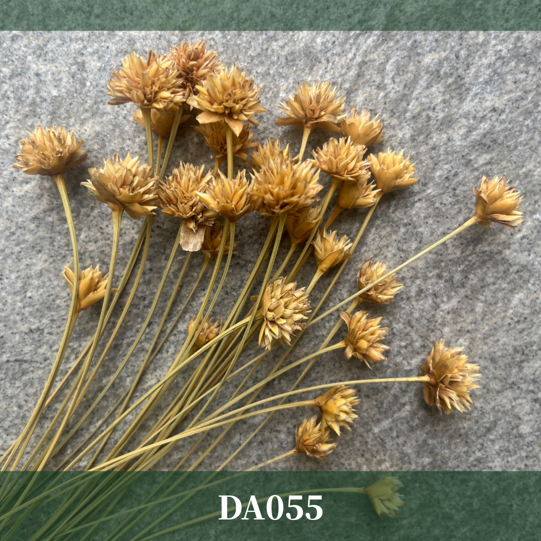 ✿ 台灣現貨 ✿。DA055。小山花 矢車菊