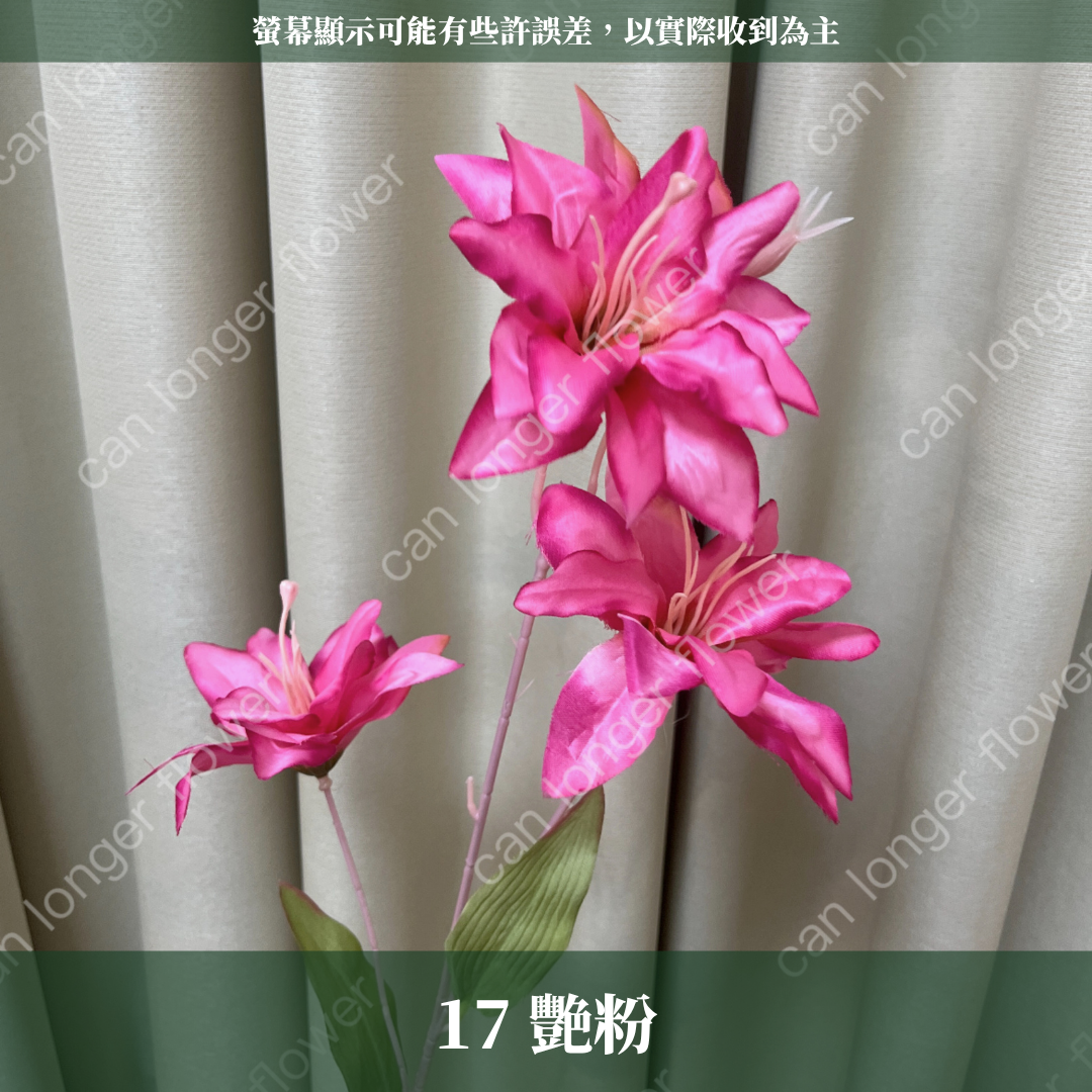 AF012 仿真小百合 3頭