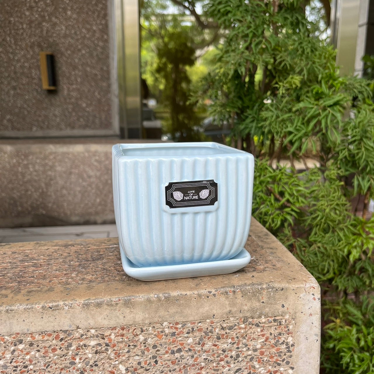 CP034小方形瓷器B款(帶盆)