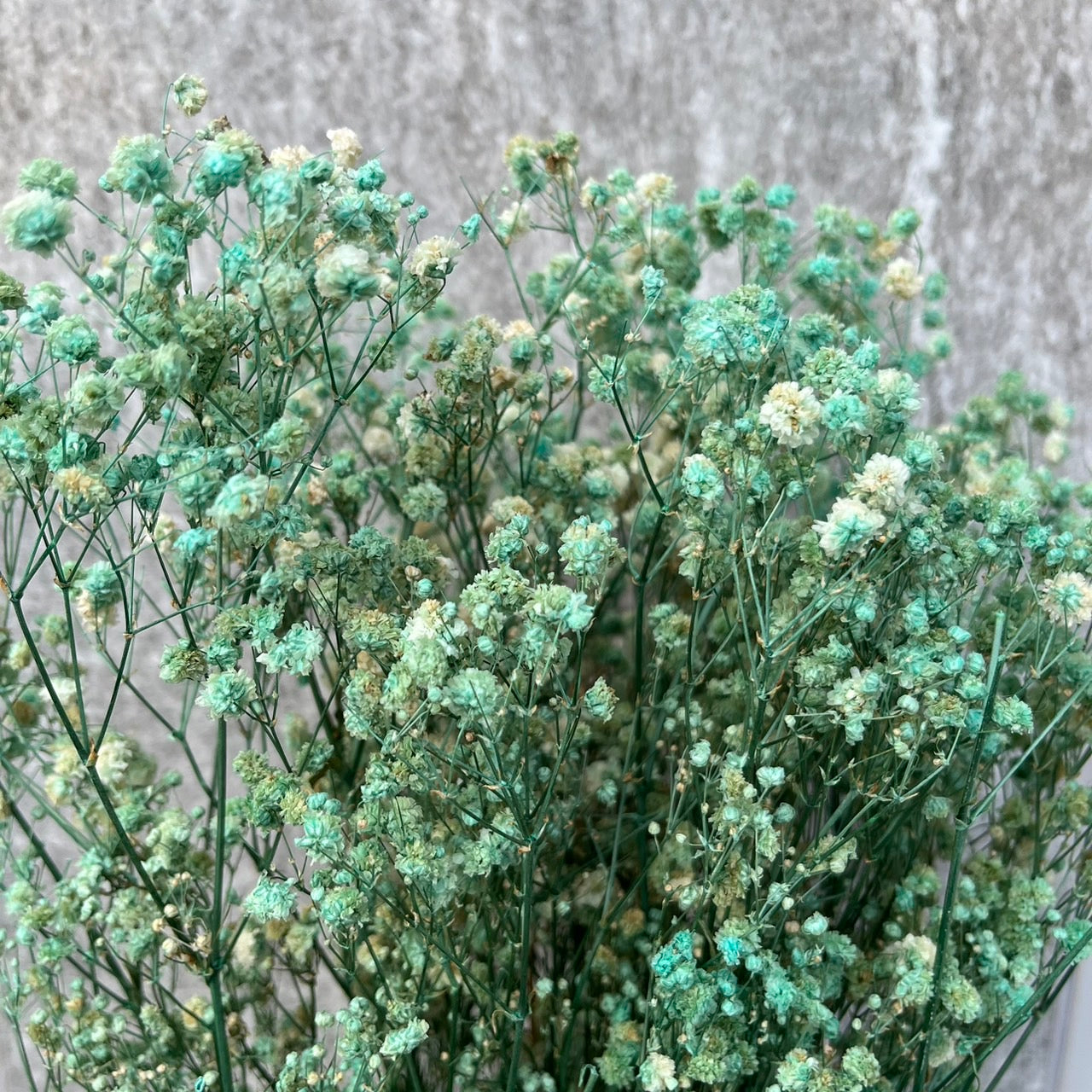 pf001S滿天星 夢幻星 永生花 小份量 捧花胸花 桌花花束 不凋花 手作DIY材料