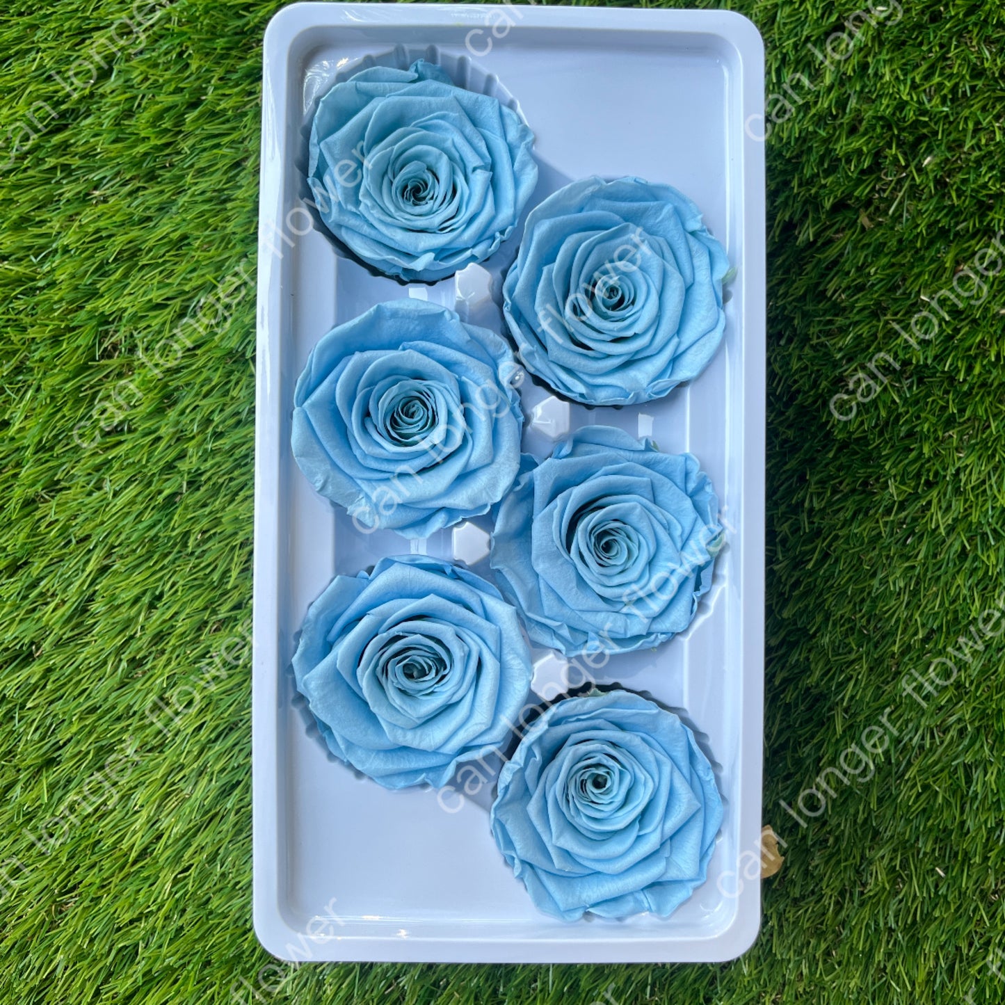 *** R06 永生玫瑰 5~6cm玫瑰 A級 6朵裝 不凋花 小香風玫瑰 色彩款式齊全 莫蘭迪