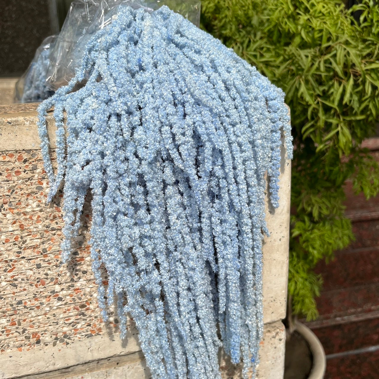 ✿ 台灣現貨 ✿ PA063 柔麗絲