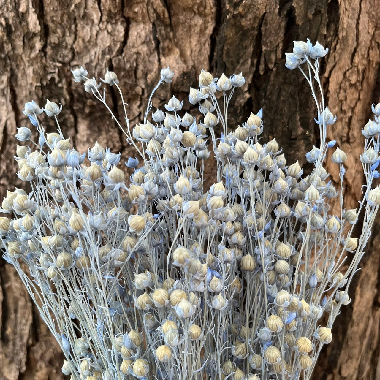 ✿ 台灣現貨 ✿ DA015 臨花