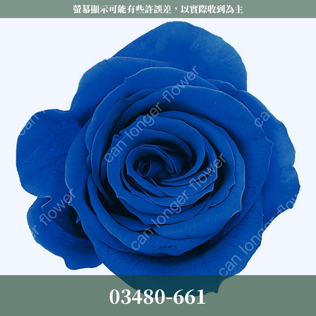 【台灣現貨】花大伯 03480 日本大地農園 中玫瑰 9朵裝 原裝 款式色彩齊全 永生玫瑰 不凋玫瑰