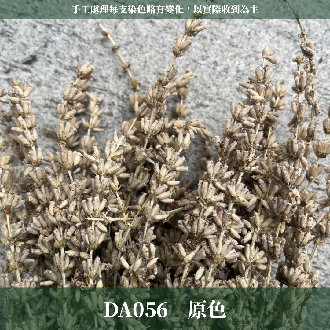 ✿ 台灣現貨 ✿ PA056 薰衣草 原裝