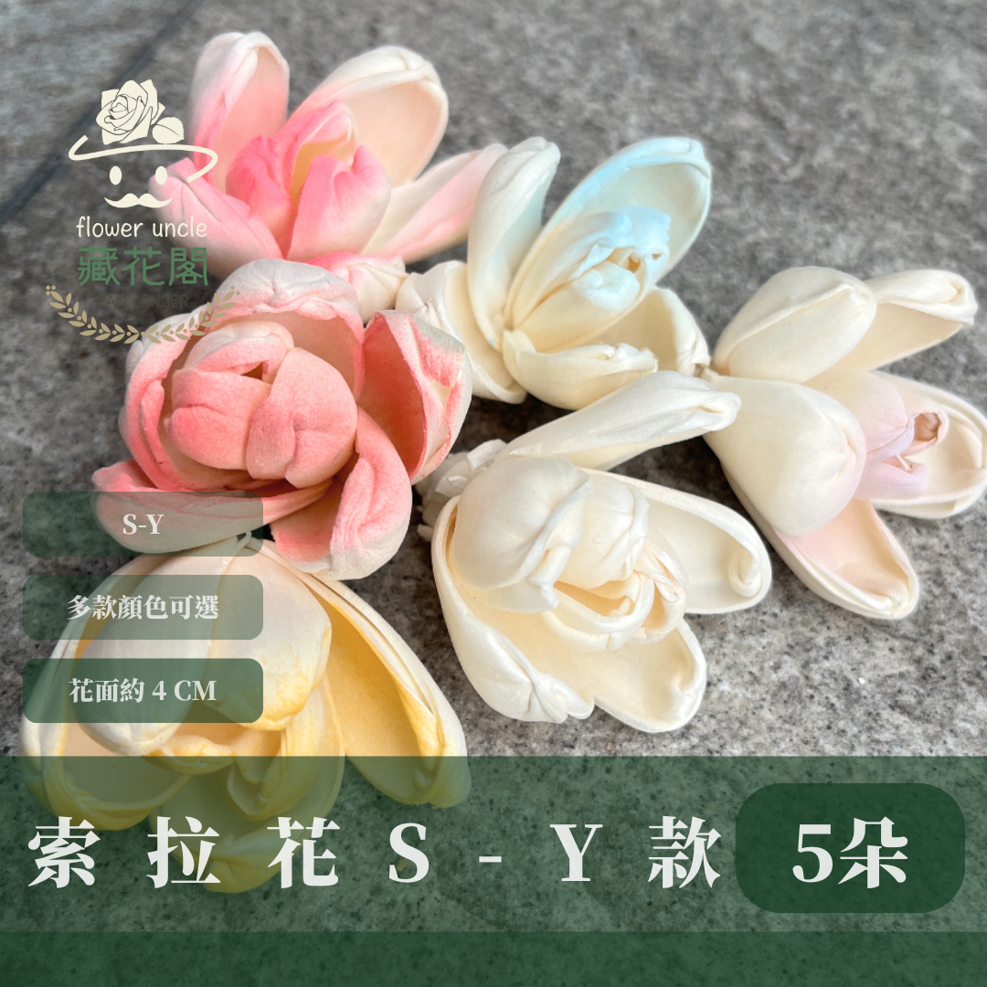 S-Y 索拉花 4CM 通草花 擴香花 台灣現貨