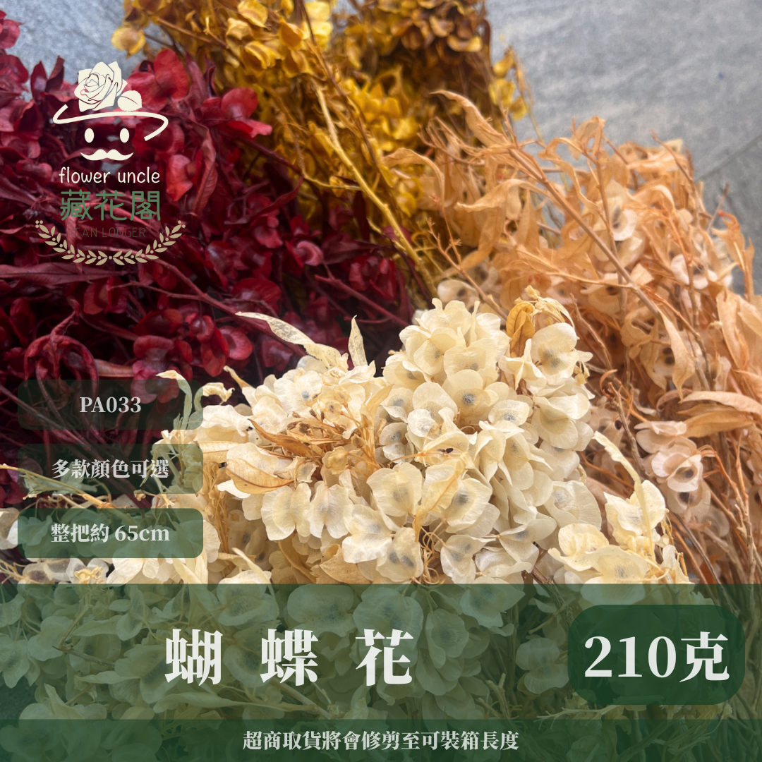 ✿ 台灣現貨 ✿ PA033 蝴蝶花 原裝