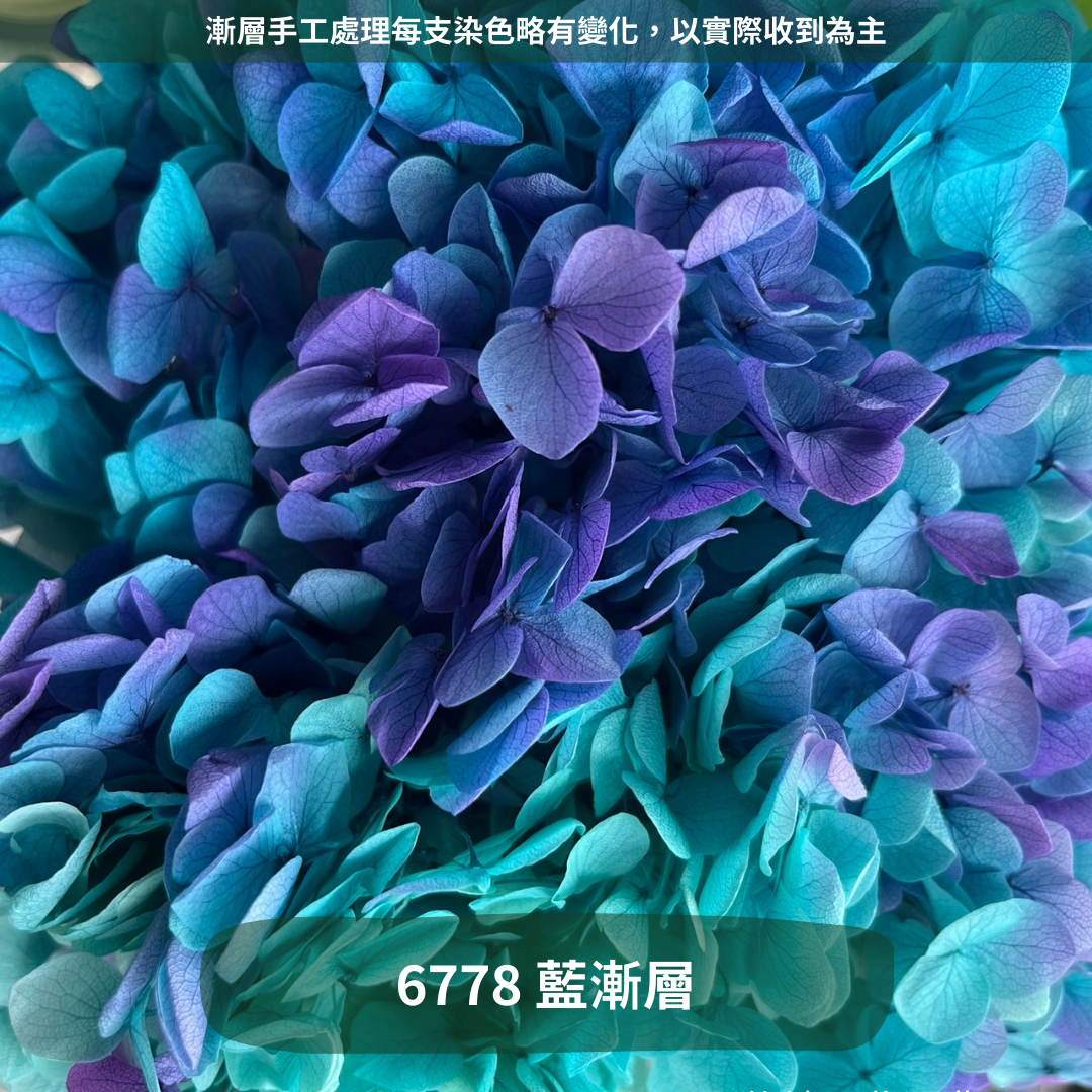 ✿ 台灣現貨 ✿ PF005 安娜繡球 單支 繡球花 繡球 紫陽花