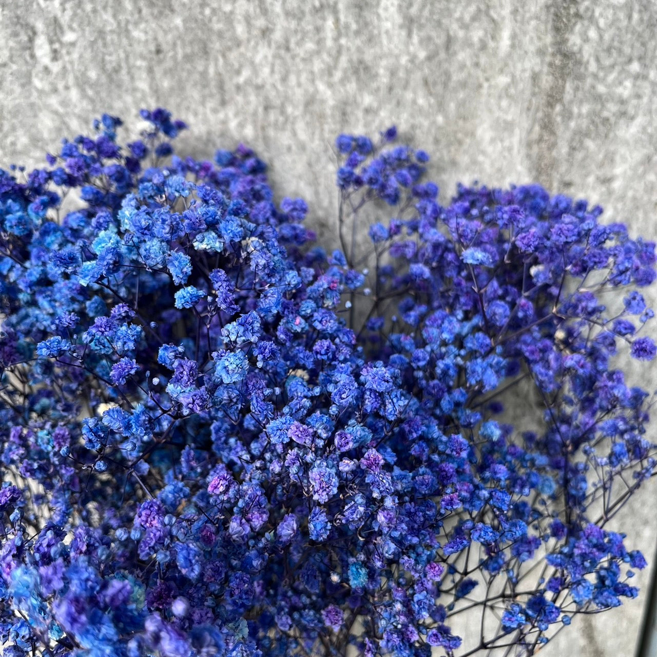 pf001S滿天星 夢幻星 永生花 小份量 捧花胸花 桌花花束 不凋花 手作DIY材料