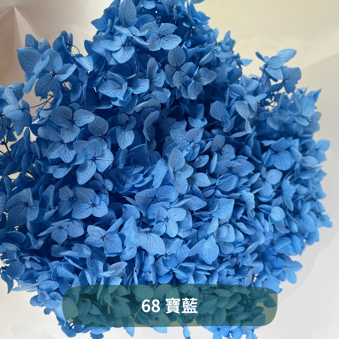 ✿ 台灣現貨 ✿ PF005 安娜繡球 單支 繡球花 繡球 紫陽花