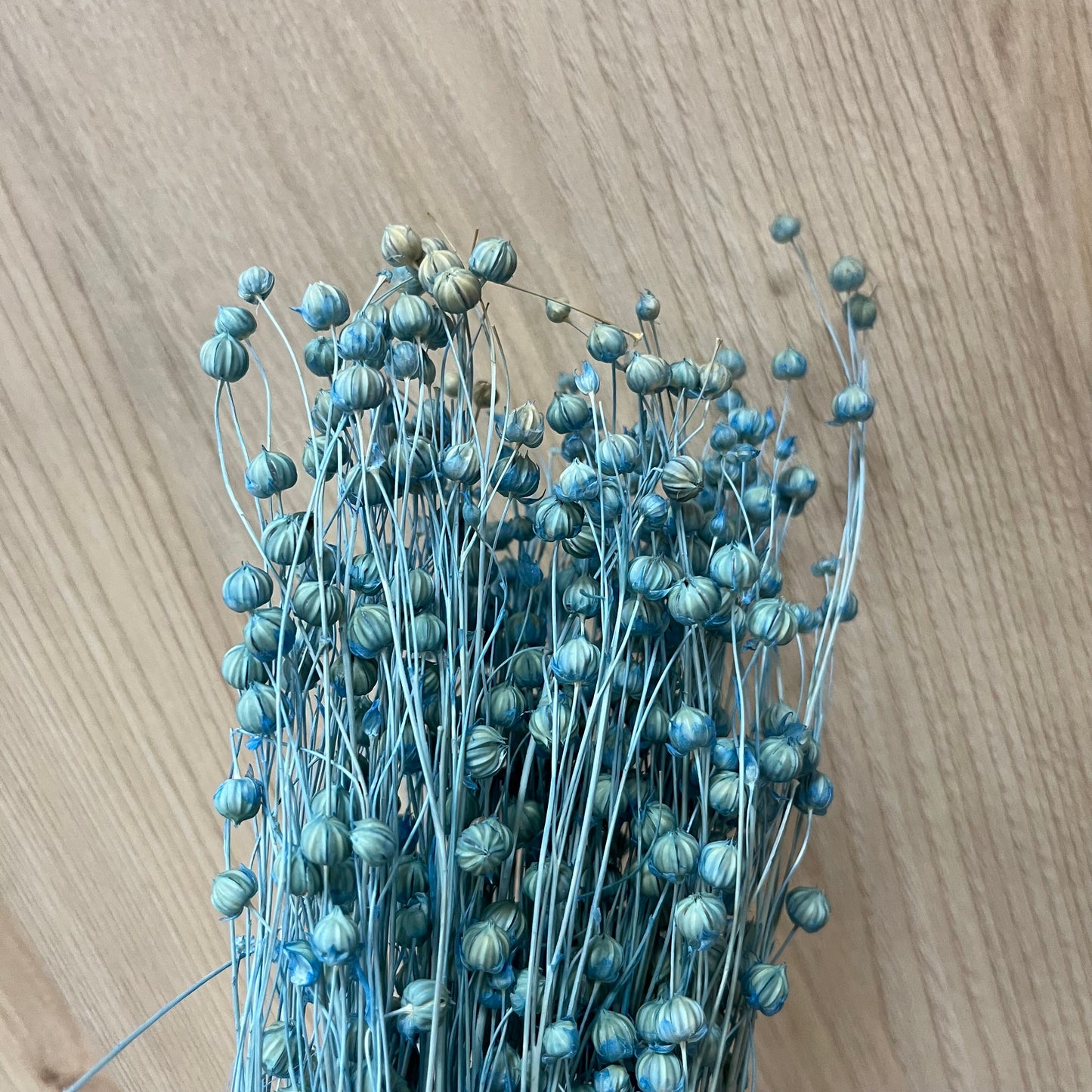 【台灣現貨】DA015 PA015-S 臨花 小份量