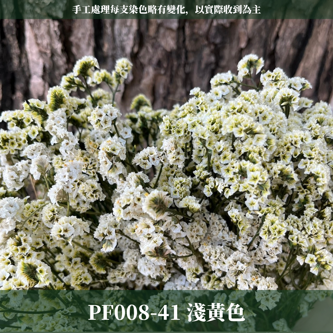 PF008水晶花 原裝 台灣現貨