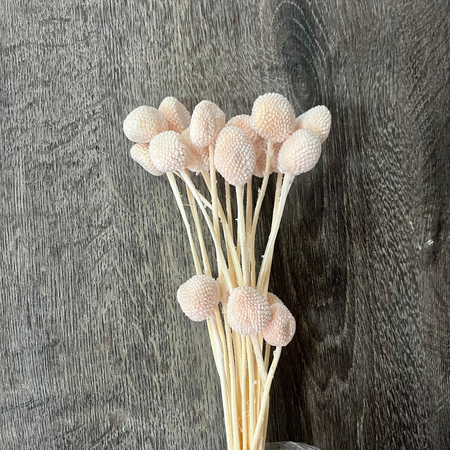 ✿ 台灣現貨 ✿ PA003 金杖球