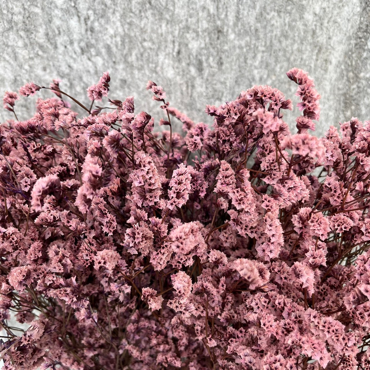 ✿ 台灣現貨 ✿ PF008水晶花 原裝