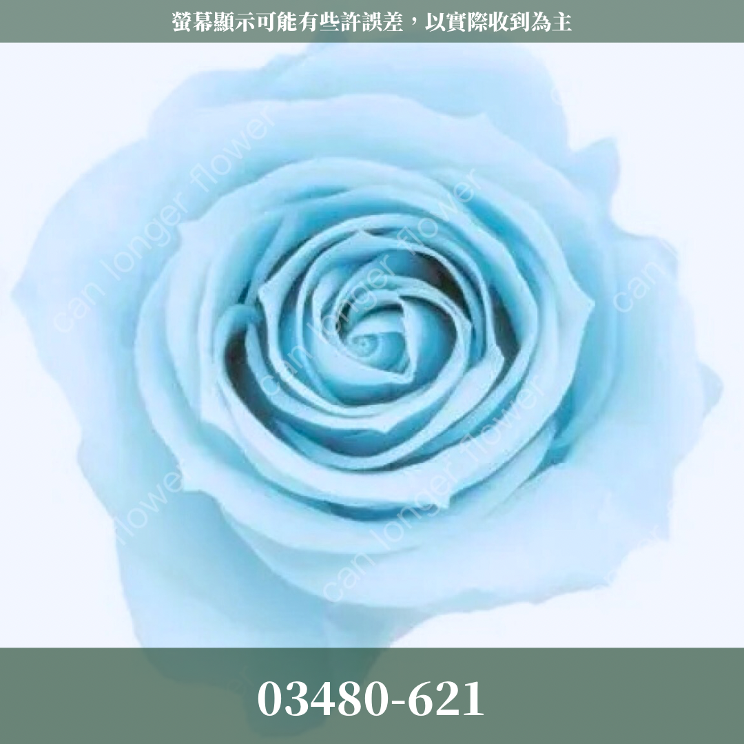 【台灣現貨】花大伯 03480 日本大地農園 中玫瑰 9朵裝 原裝 款式色彩齊全 永生玫瑰 不凋玫瑰