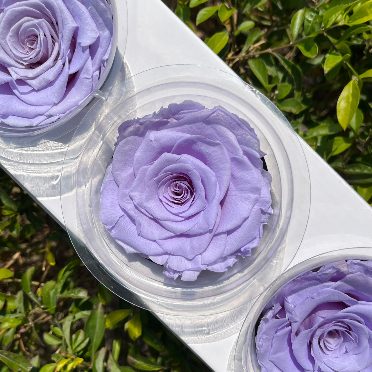 ✿ 台灣現貨 ✿ R03 永生拼接玫瑰7~8cm玫瑰 A級 3朵裝 不凋花 永生花