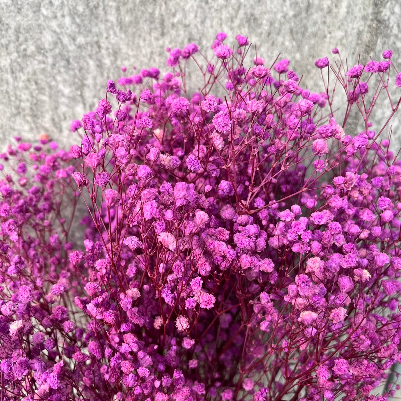 pf001S滿天星 夢幻星 永生花 小份量 捧花胸花 桌花花束 不凋花 手作DIY材料