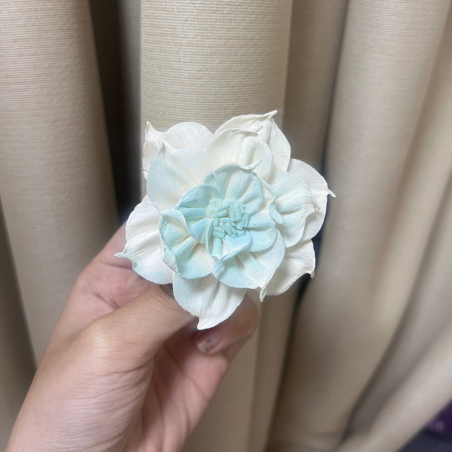 ✿ 台灣現貨 ✿ S-U 索拉花 6CM 通草花 擴香花
