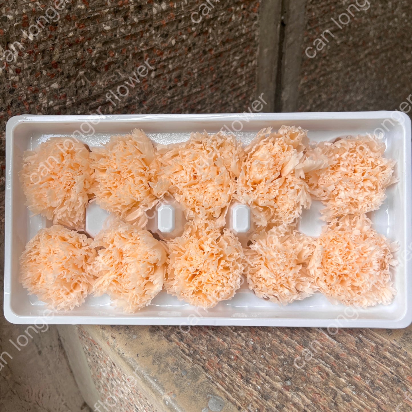 ✿ 台灣現貨 ✿ 花大伯 K10 永生康乃馨 3~4cm A級  單朵裝