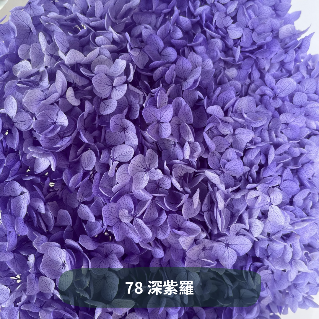 ✿ 台灣現貨 ✿ PF005 安娜繡球 單支 繡球花 繡球 紫陽花