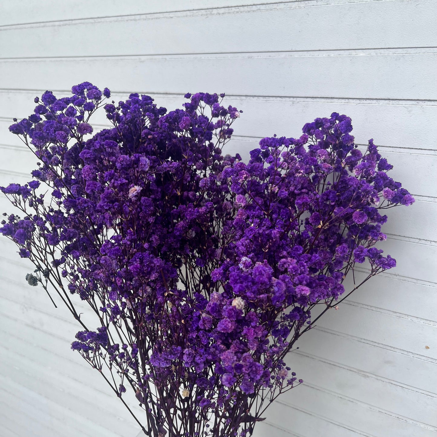 pf001S滿天星 夢幻星 永生花 小份量 捧花胸花 桌花花束 不凋花 手作DIY材料