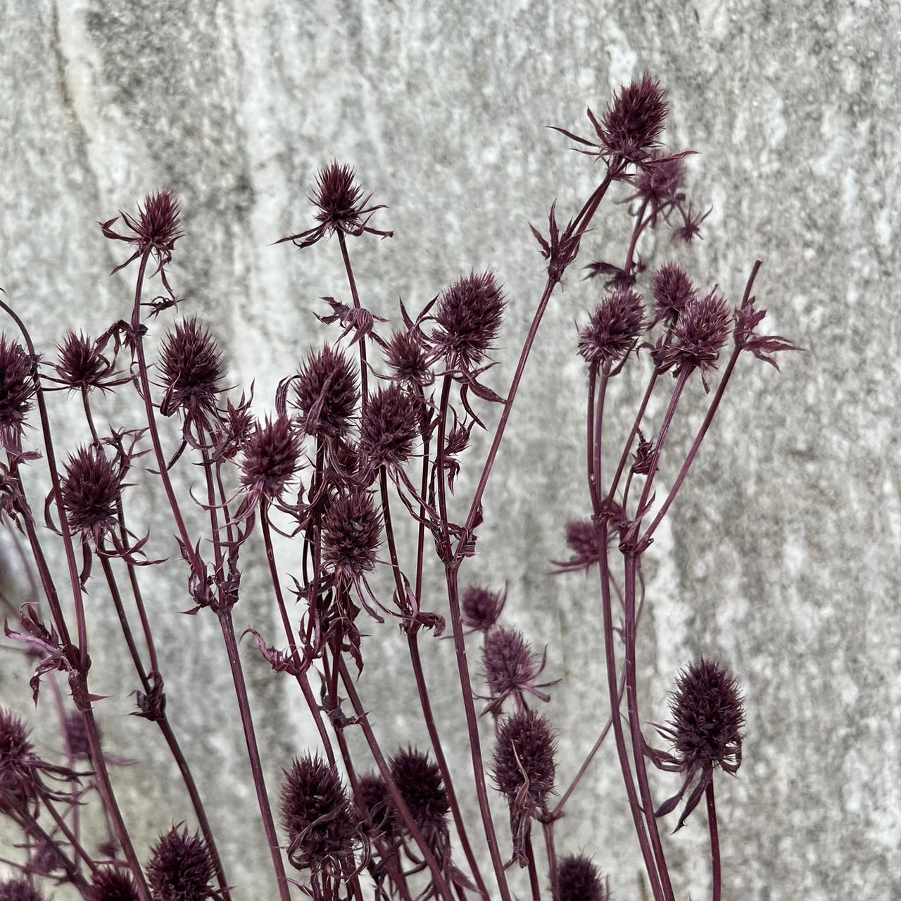 【台灣現貨】PA042s小薊果 小包