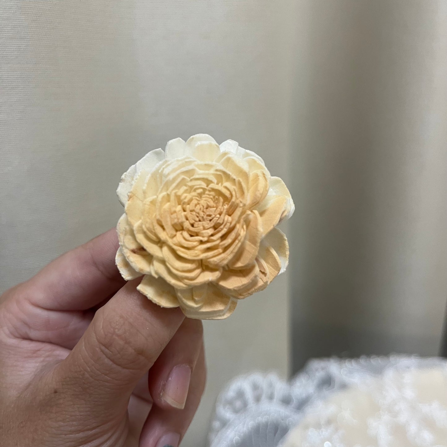 ✿ 台灣現貨 ✿ S-b 索拉花 4CM 通草花 擴香花 太陽玫瑰 日本大地 太陽菊