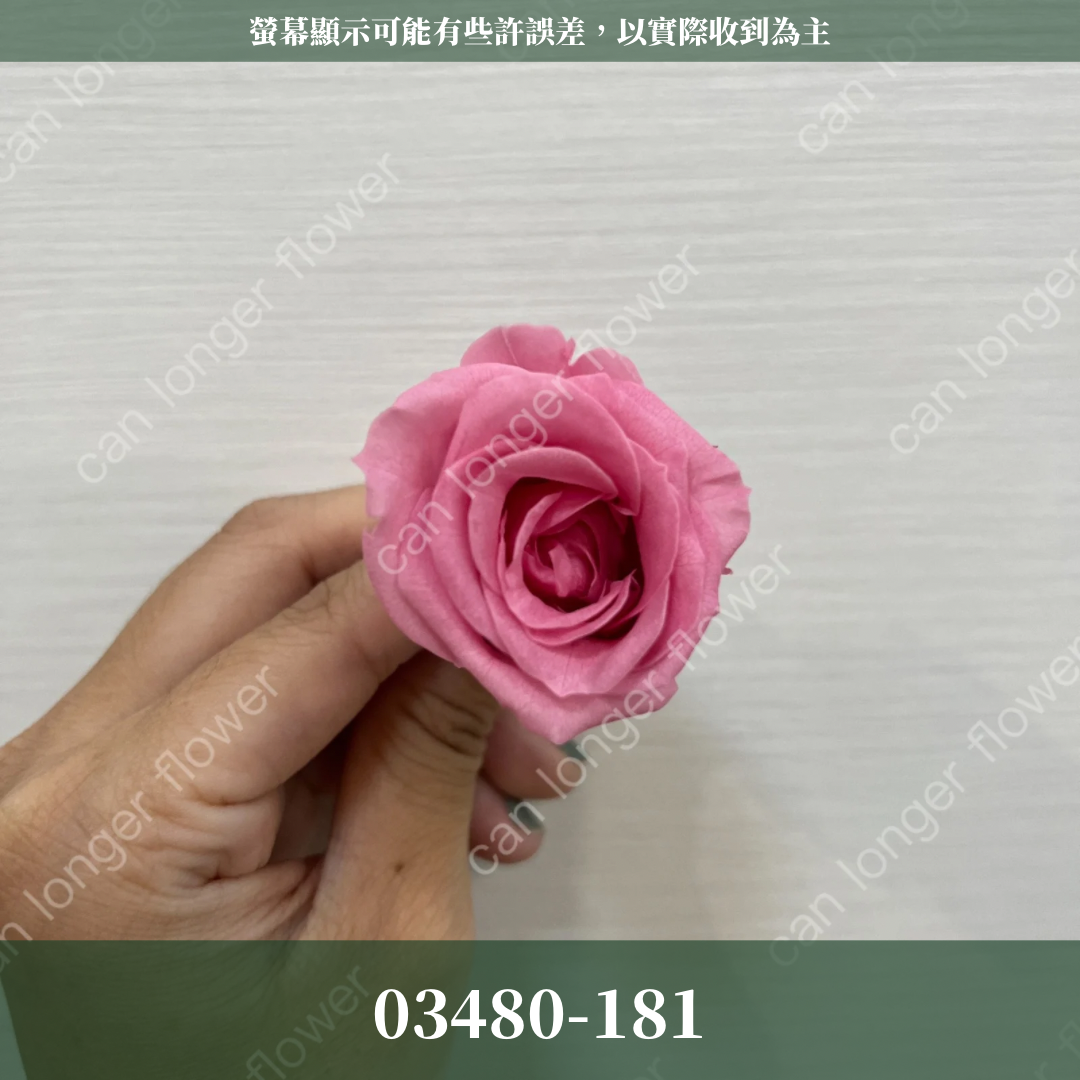 【台灣現貨】花大伯 03480 日本大地農園 中玫瑰 9朵裝 原裝 款式色彩齊全 永生玫瑰 不凋玫瑰
