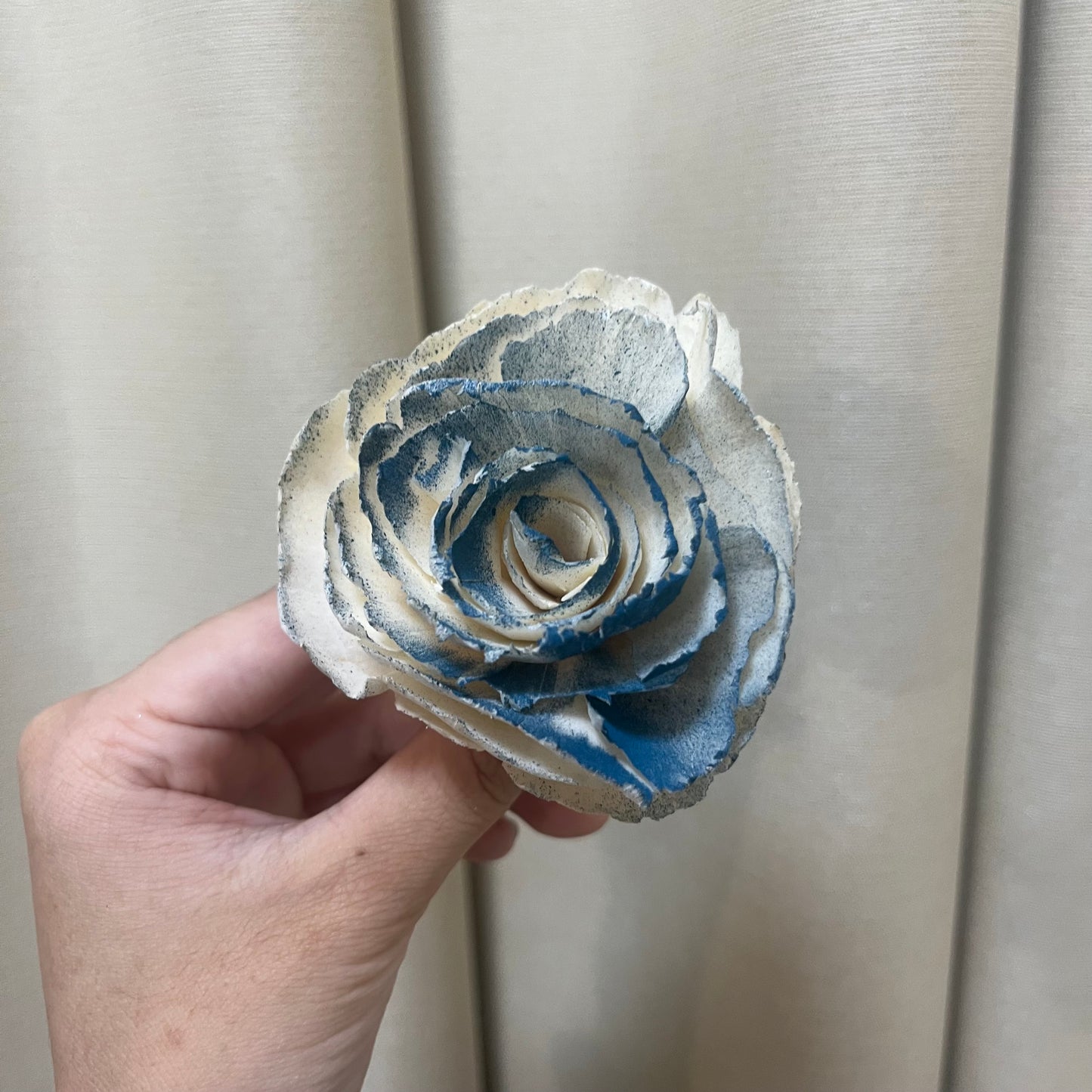 ✿ 台灣現貨 ✿ S-R 索拉花 6CM 通草花 擴香花 波斯 波斯菊 波斯玫瑰