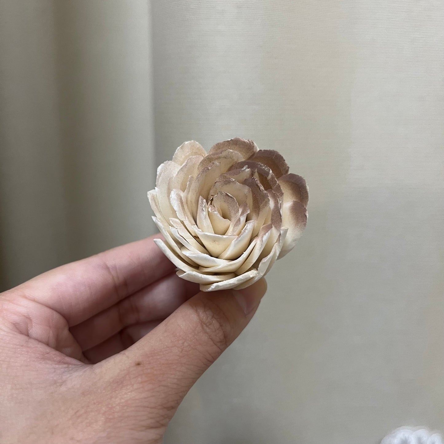 ✿ 台灣現貨 ✿ S-X 索拉花 4CM 通草花 擴香花 鬱金香