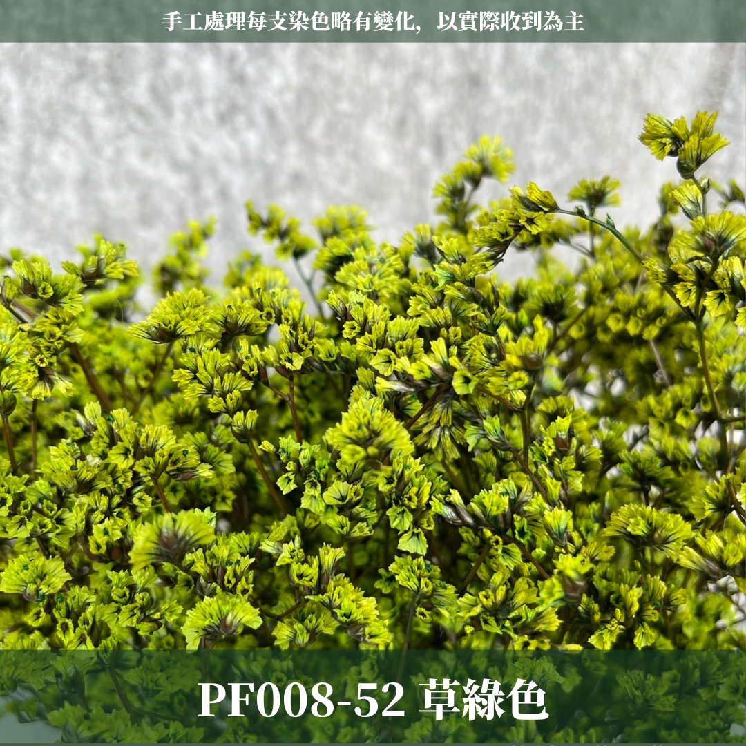 PF008水晶花 原裝 台灣現貨