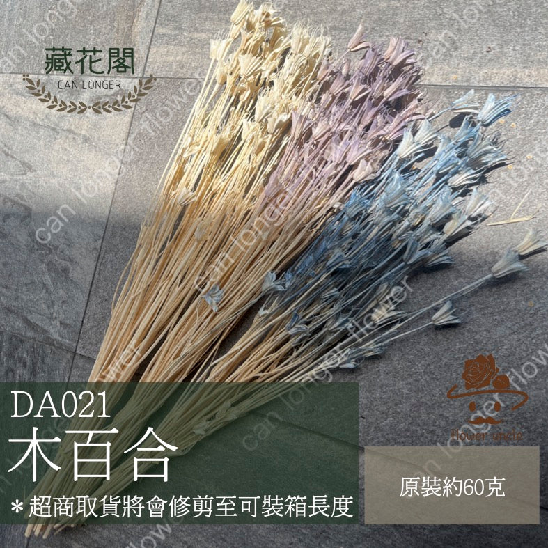 ✿ 台灣現貨 ✿ DA021 木百合 原裝