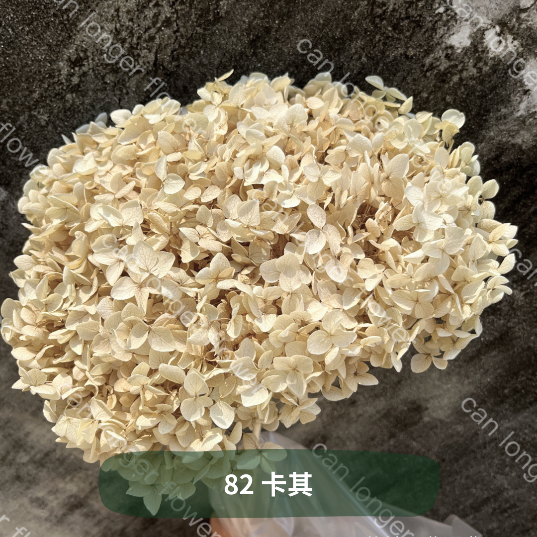 ✿ 台灣現貨 ✿ PF005 安娜繡球 單支 繡球花 繡球 紫陽花