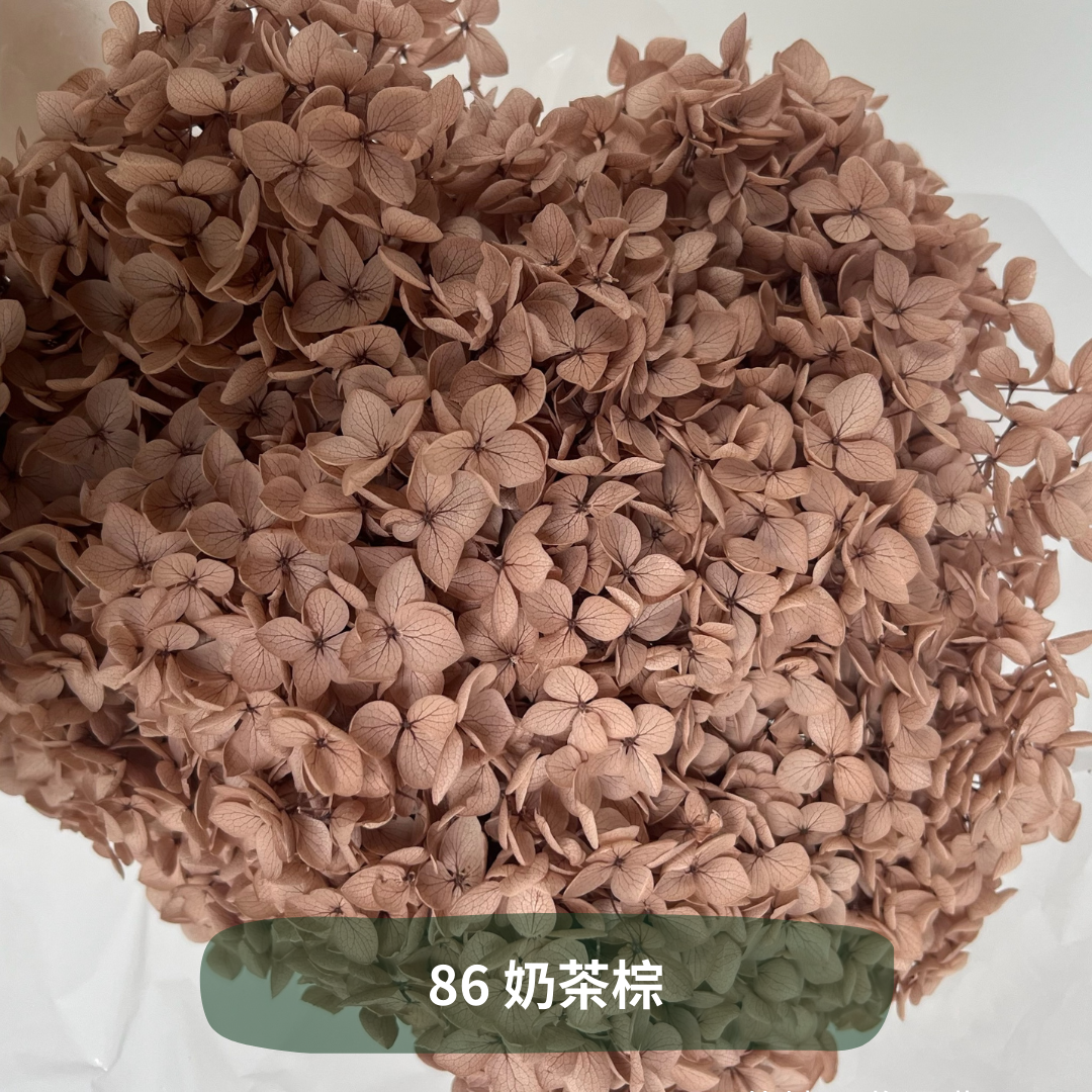 ✿ 台灣現貨 ✿ PF005 安娜繡球 單支 繡球花 繡球 紫陽花