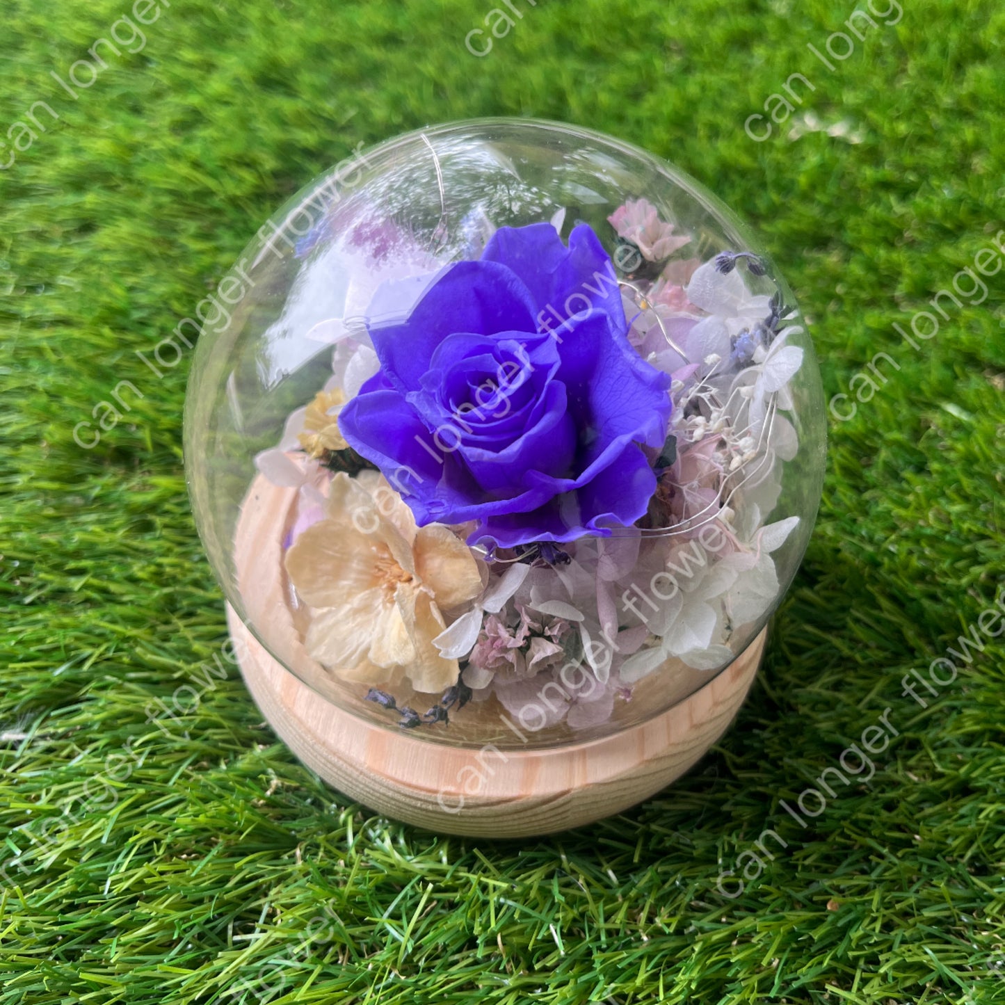 gift-g056永生花罩盅xs(帶燈)