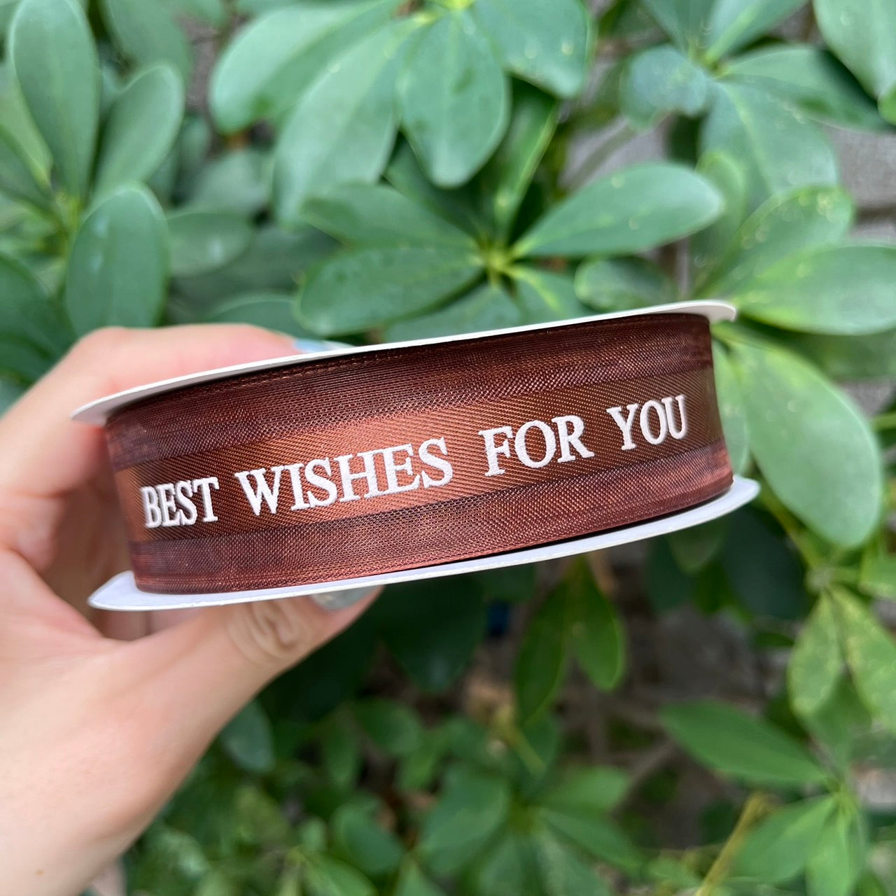EP217緞帶(best wishes)2.5cm