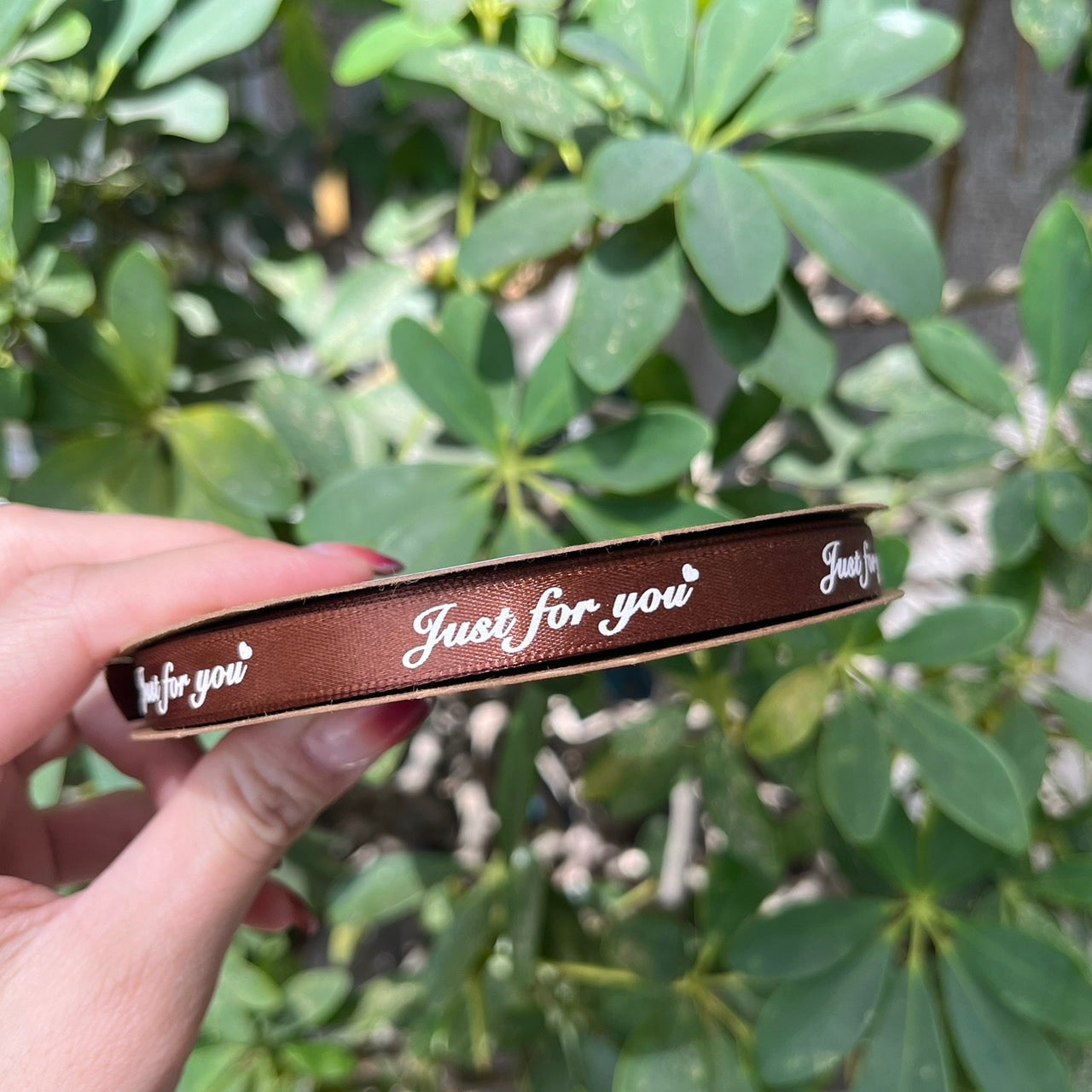 EP215B緞帶(JUST FOR YOU)1cm