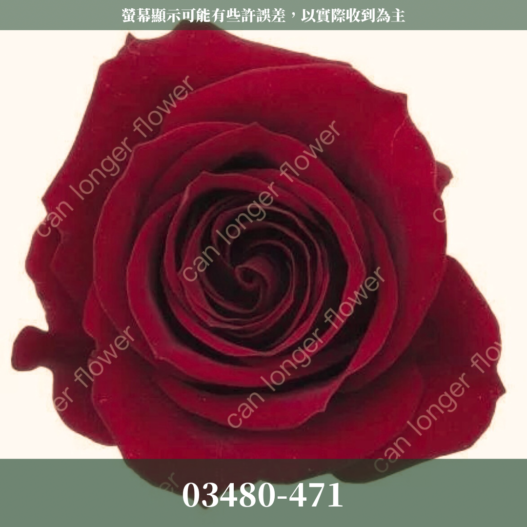 【台灣現貨】花大伯 03480 日本大地農園 中玫瑰 9朵裝 原裝 款式色彩齊全 永生玫瑰 不凋玫瑰