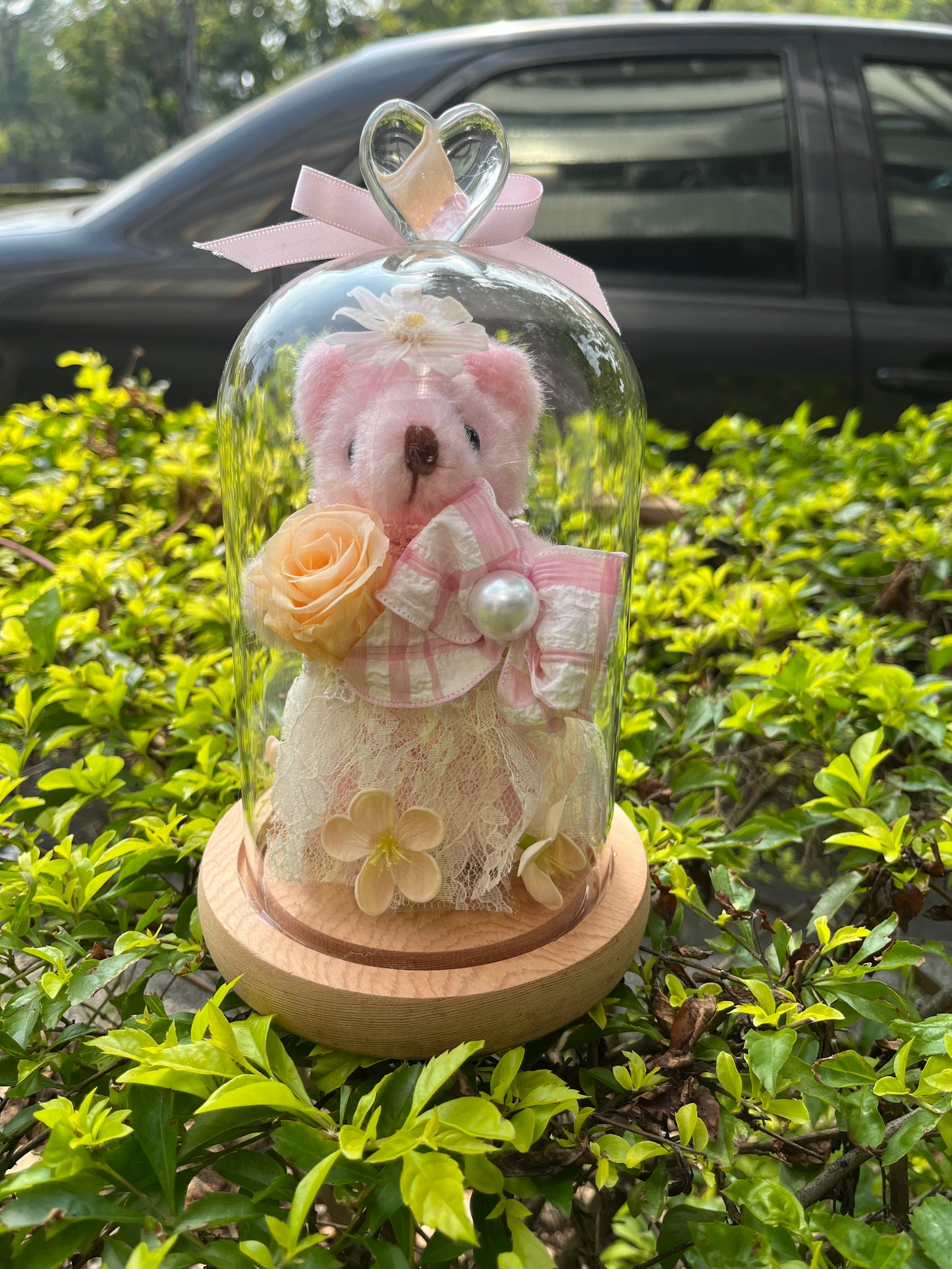 gift-g015永生花罩盅M