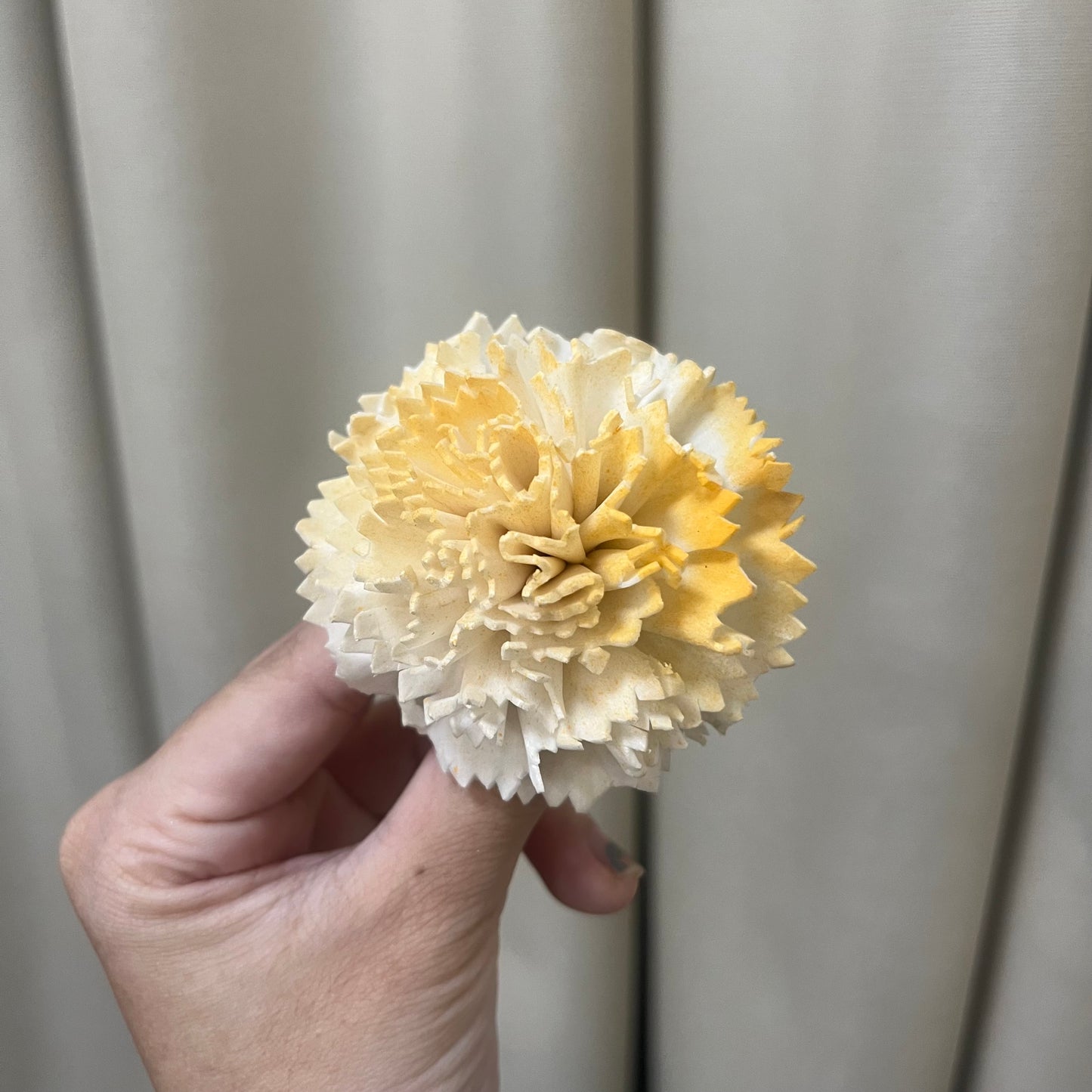 ✿ 台灣現貨 ✿ S-AF 索拉花 6CM 通草花 擴香花 康乃馨 小菊