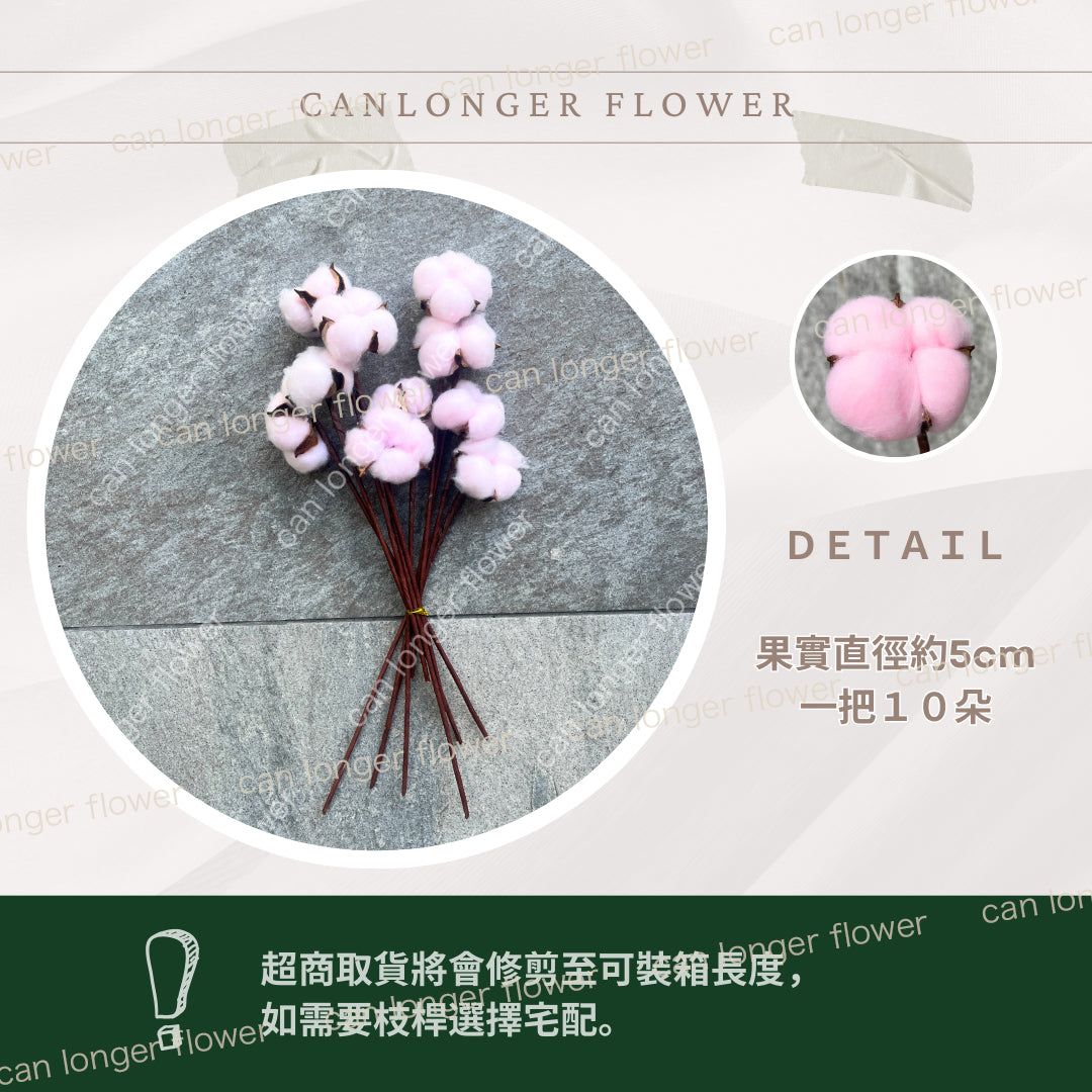 ✿ 台灣現貨 ✿ SH00棉花 原裝 十支裝 手工花