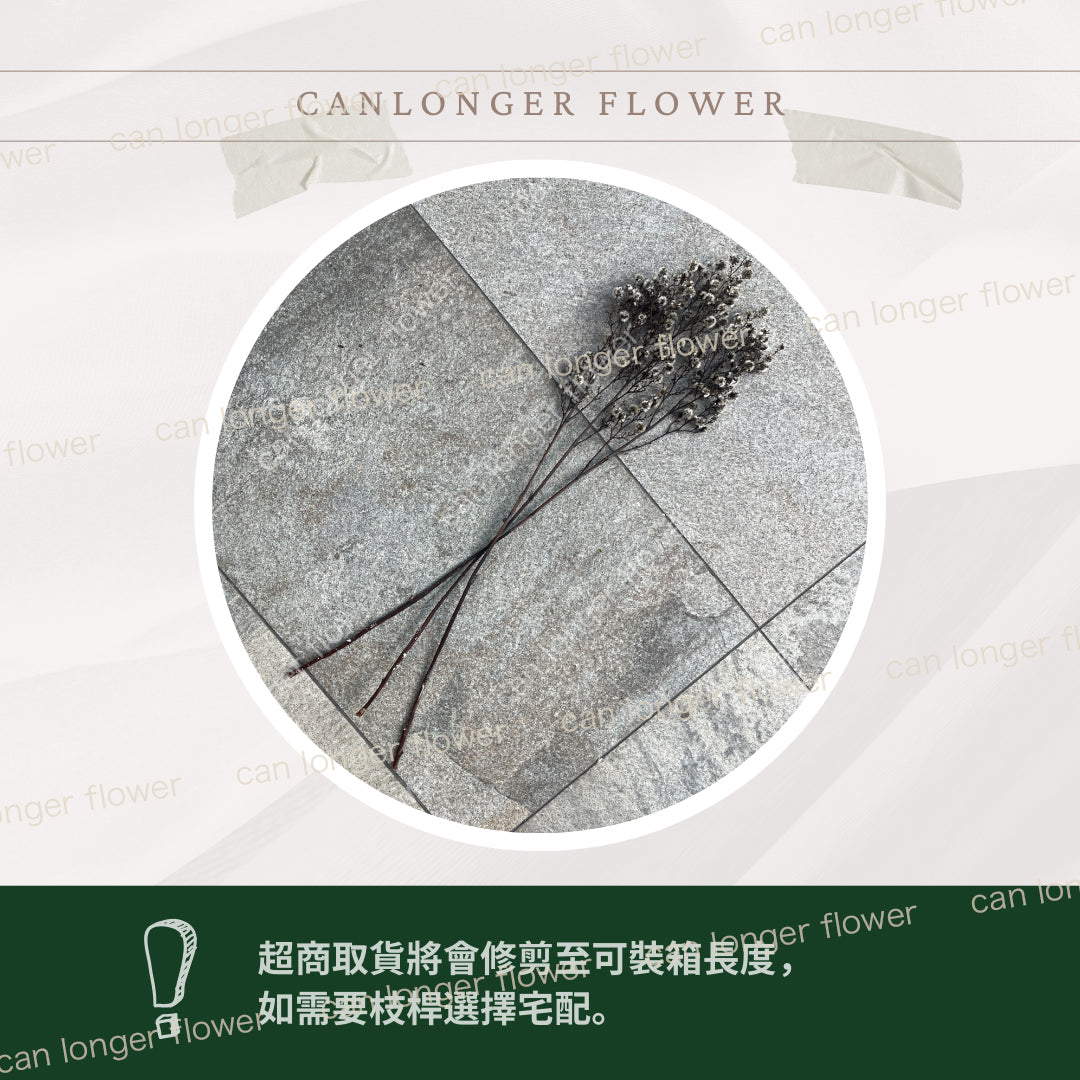 ✿ 台灣現貨 ✿ pa016 虎眼 永生 原裝