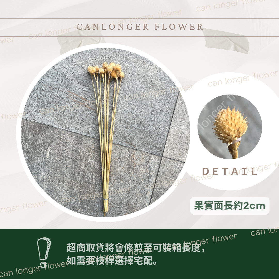 ✿ 台灣現貨 ✿ SH05-00 手工千日紅 草莓果