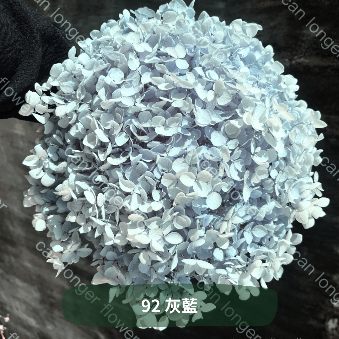 ✿ 台灣現貨 ✿ PF005 安娜繡球 單支 繡球花 繡球 紫陽花