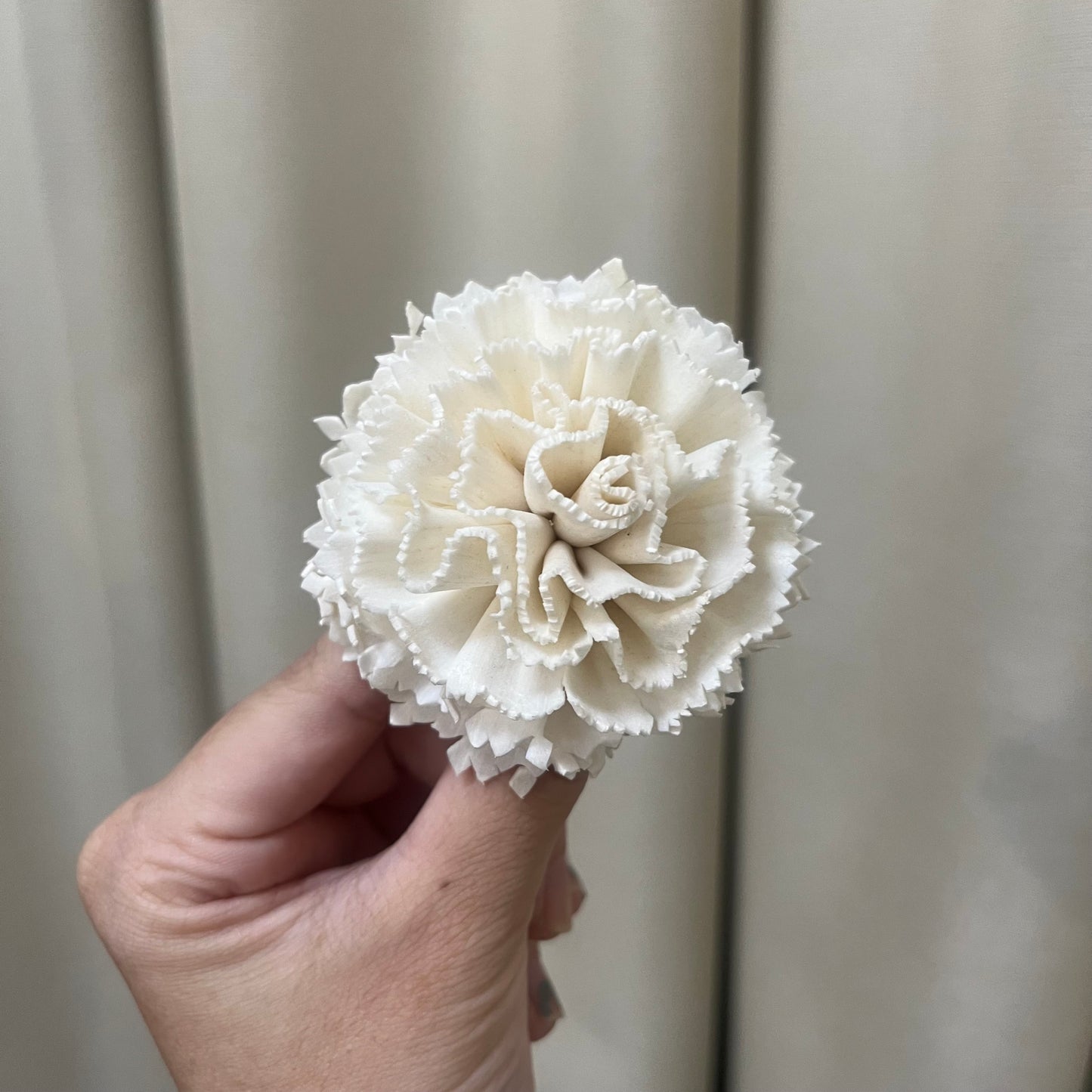 ✿ 台灣現貨 ✿ S-AF 索拉花 6CM 通草花 擴香花 康乃馨 小菊
