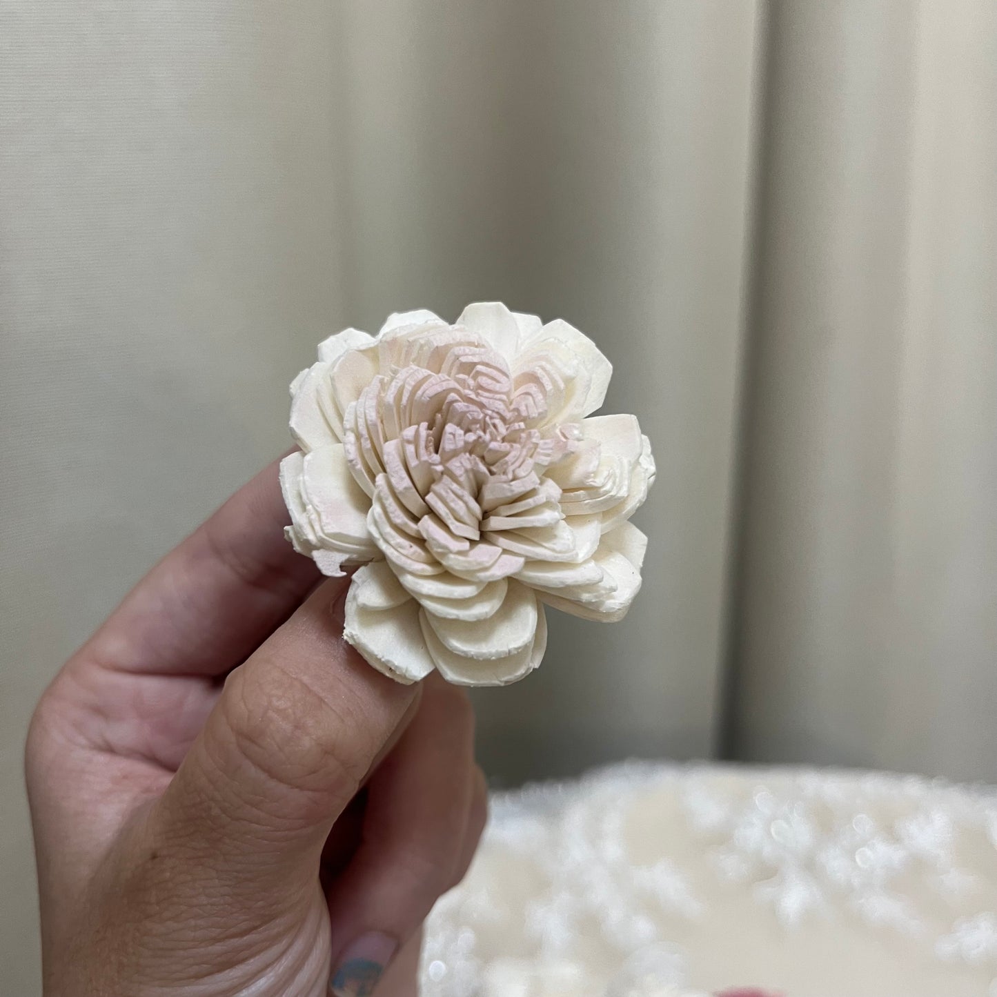 ✿ 台灣現貨 ✿ S-b 索拉花 4CM 通草花 擴香花 太陽玫瑰 日本大地 太陽菊