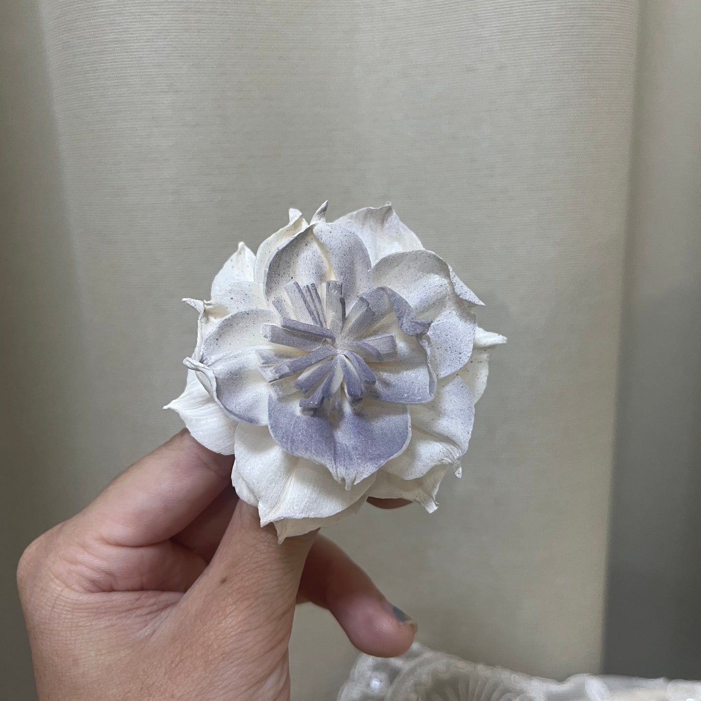 ✿ 台灣現貨 ✿ S-U 索拉花 6CM 通草花 擴香花