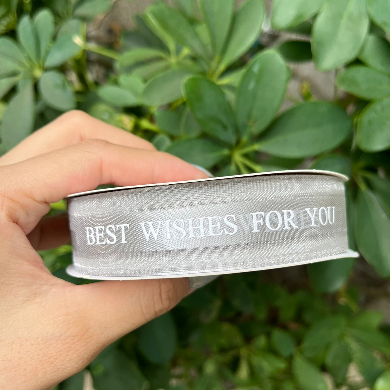 EP217緞帶(best wishes)2.5cm