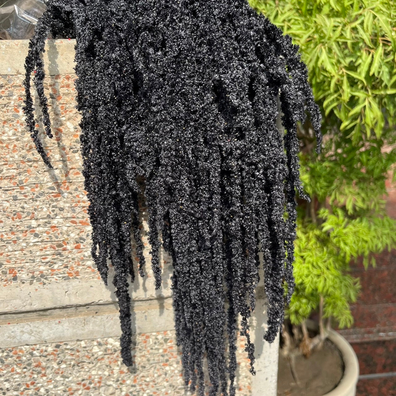 PA063S 柔麗絲 小份量